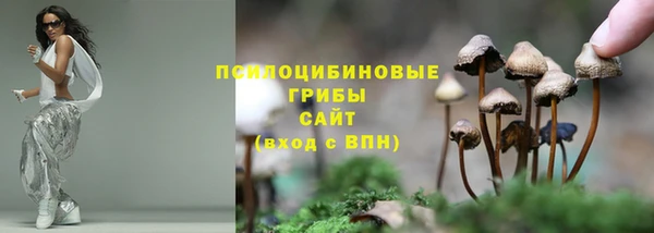 а пвп мука Верхний Тагил