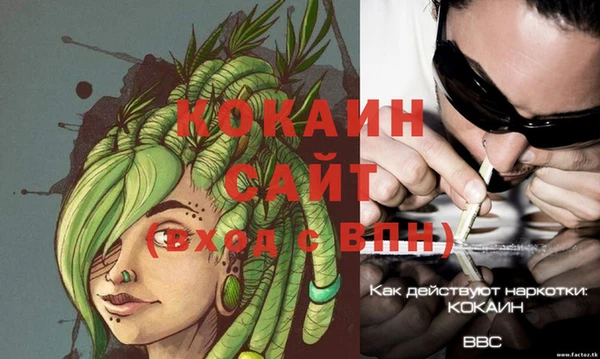 ECSTASY Богданович