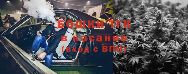 сатива Верея