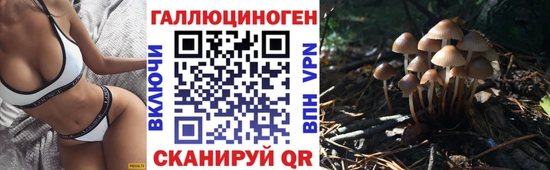 наркота  Гулькевичи  Галлюциногенные грибы Psilocybe 